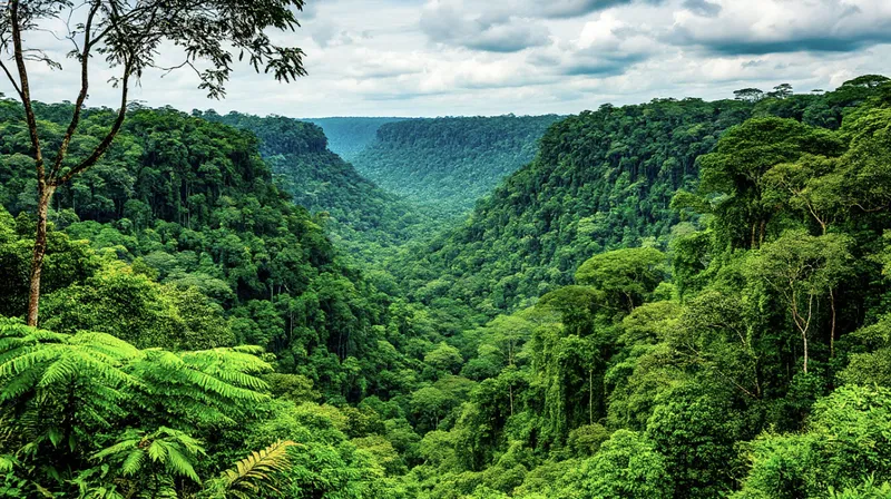 Amazon Yağmur Ormanları