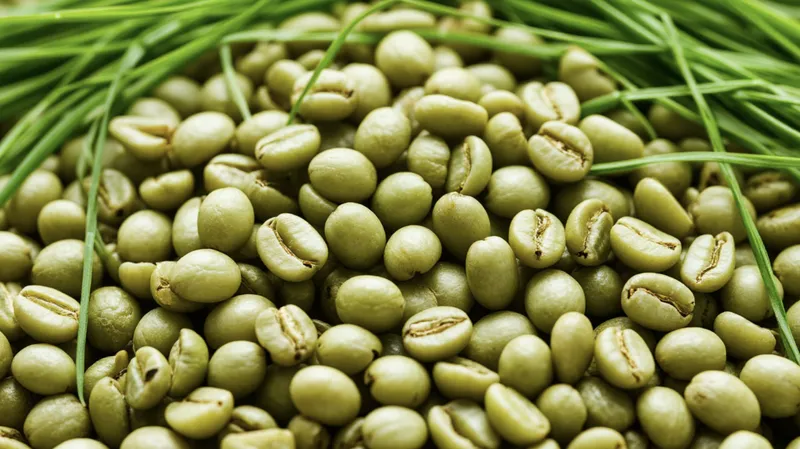 Kahve Tadım Kusurları: Lezzet Hatalarının Kimyasal Kökenleri